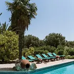 Olive Grove فيلة