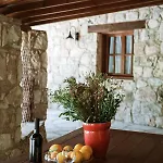 Olive Grove فيلة