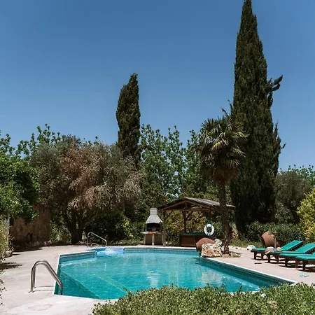 Olive Grove Villa