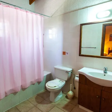 Vilă Olive Grove Lachi