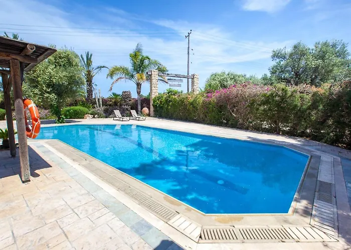 Olive Grove Willa Latsi