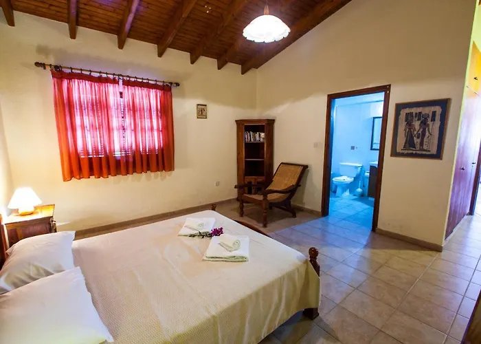 Olive Grove Willa Latsi