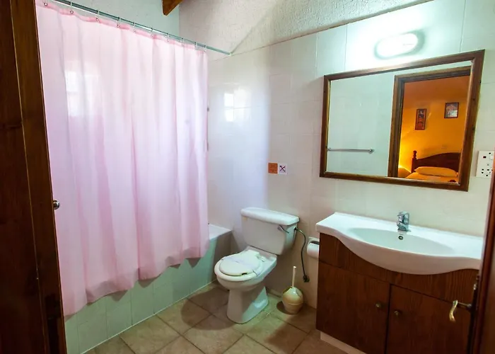 Willa Olive Grove Latsi