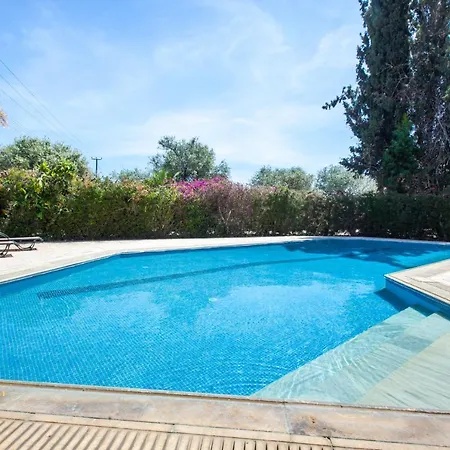 Olive Grove Villa Lachi