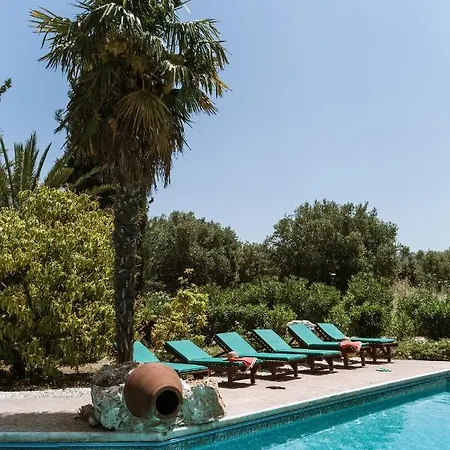 Olive Grove Villa
